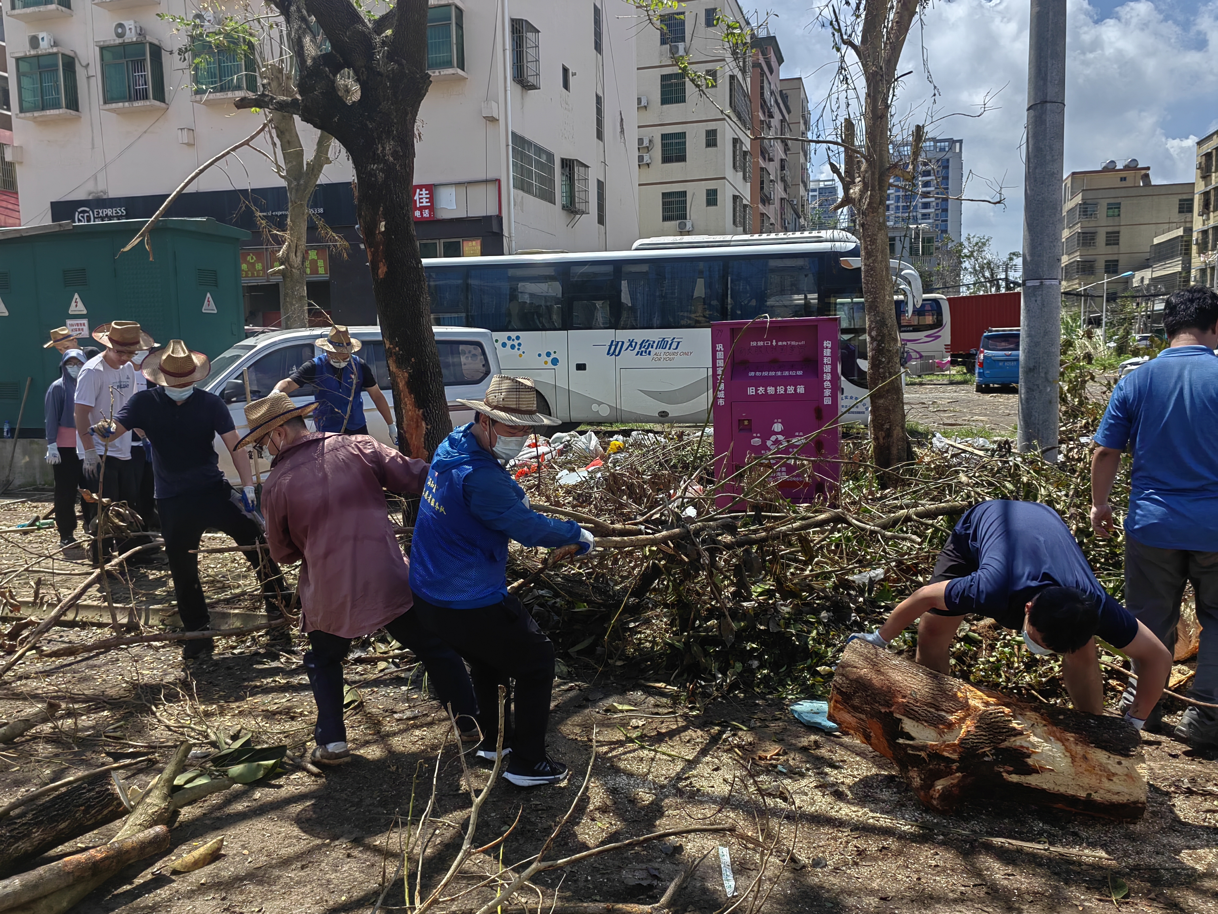 2024年9月10日至12日，海南自由贸易港知识产权法院党员、志愿者积极参与台风“摩羯”灾后恢复重建志愿服务工作。 (8)